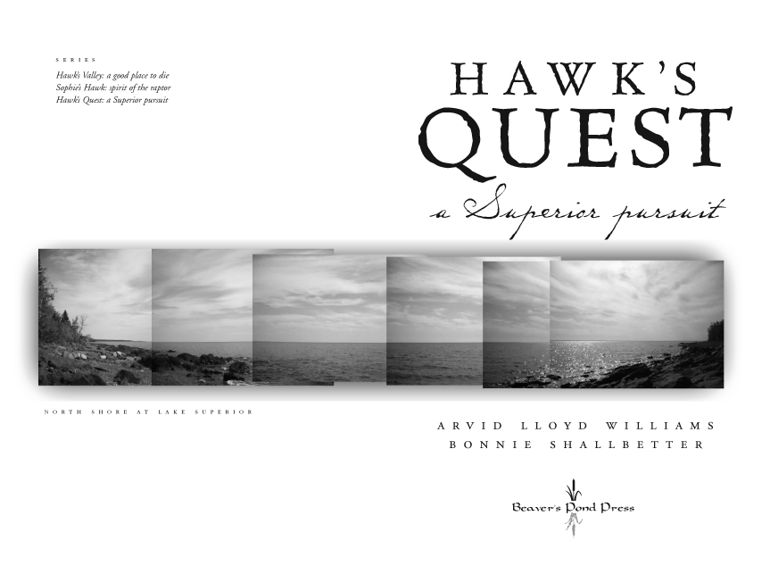 Hawk's Quest